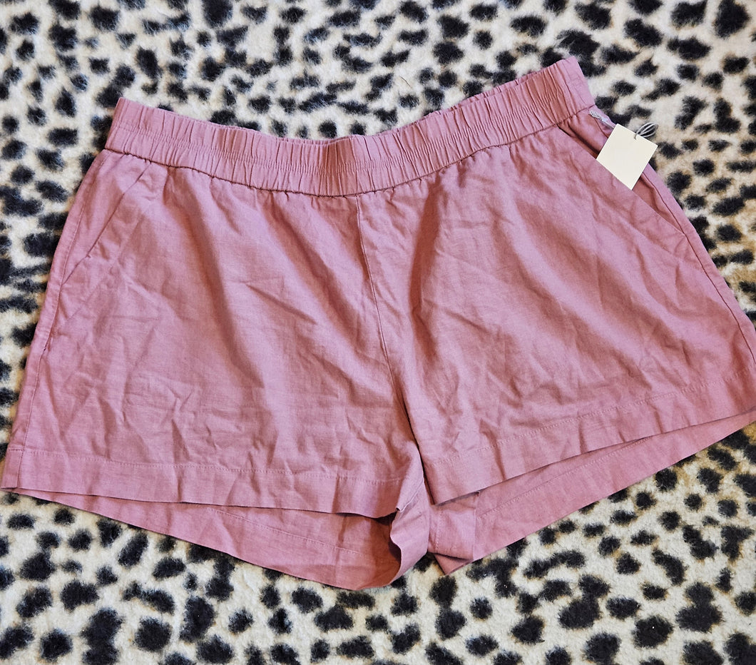 A New Day Shorts (1x)